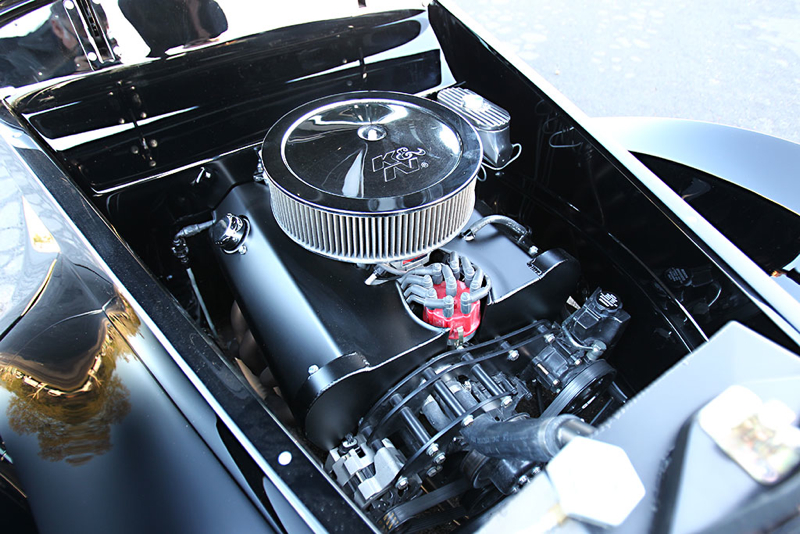 DLEDMV_James_Hetfield_BlackBird_05