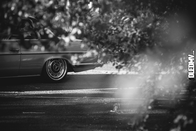 DLEDMV - Mercedes 250CE 69 airride Kevin - 02
