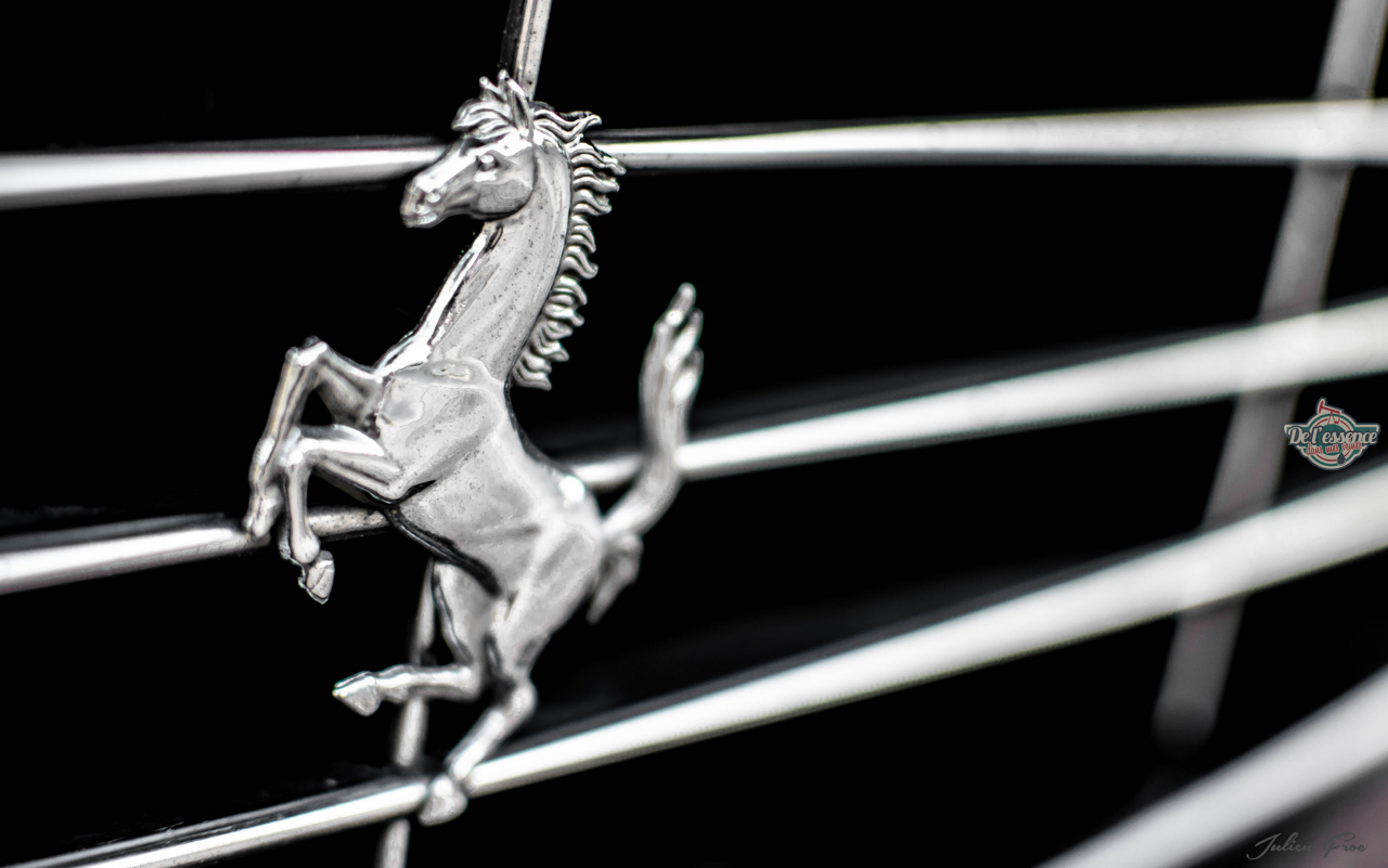 DLEDMV - Ferrari 456GT JulienF - 06