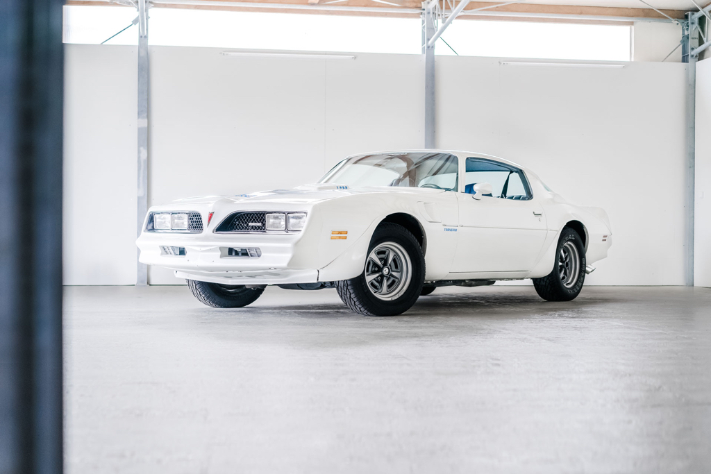 dledmv-pontiac-firebird-transam-the-bandit-04