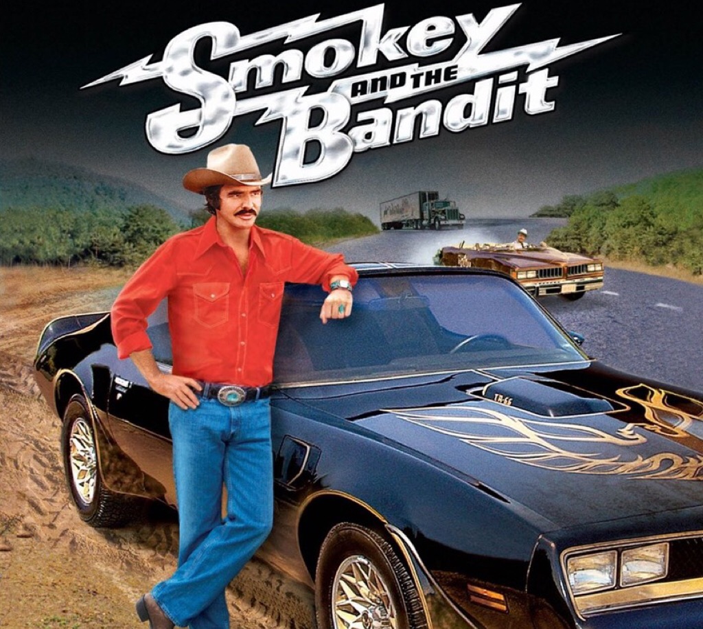 dledmv-pontiac-firebird-transam-the-bandit-20