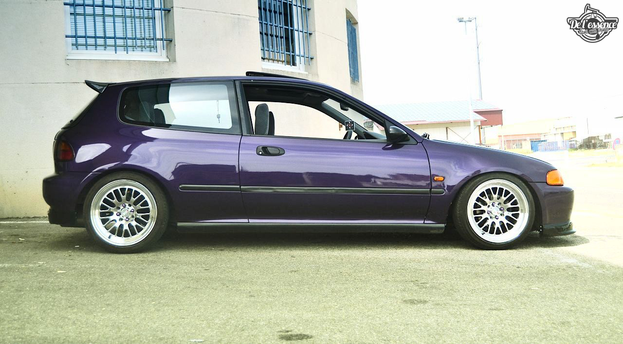 Julie's Honda Civic : Skittles 5