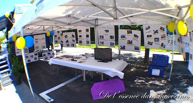 Balade Provençale : "Le Ventoux en Sub" - Team Subaru Pernois 54