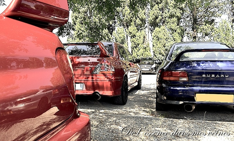 Balade Provençale : "Le Ventoux en Sub" - Team Subaru Pernois 48