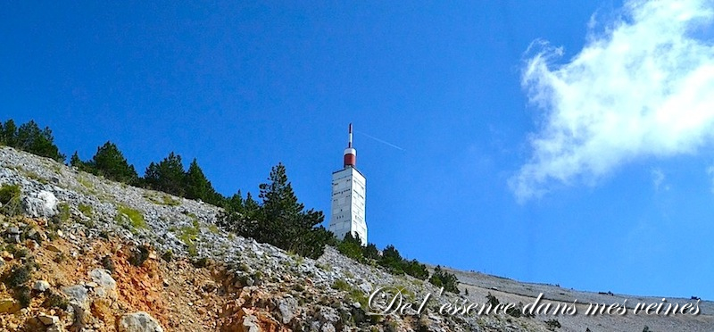 Balade Provençale : "Le Ventoux en Sub" - Team Subaru Pernois 20