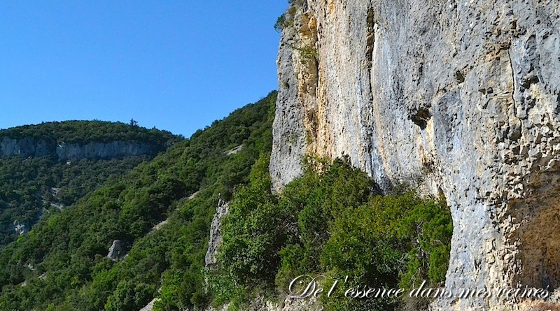 Balade Provençale : "Le Ventoux en Sub" - Team Subaru Pernois 5