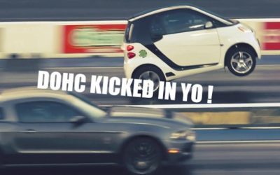 Le lièvre et la tortue… Mais la tortue elle s&rsquo;est mise à la muscu !