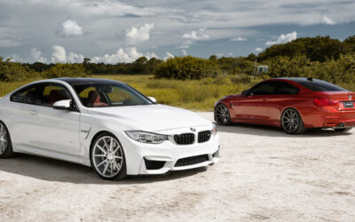 Vossen se fait déjà la nouvelle M4