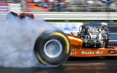 « Wild Rides »… Rodéo sur 3000 ch !