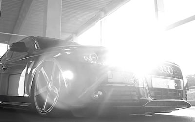 Carporn… La belle et les bêtes !