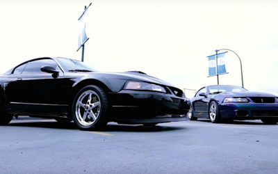 Ford Mustang Mach 1 & Cobra R Mystichrome – On sort les chevaux !