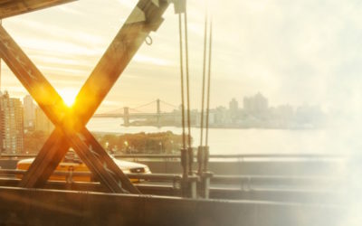 A Fond : Urban Species – « Spiritual Love »