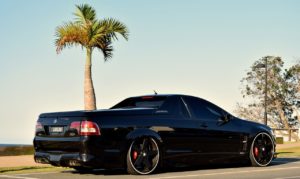 DLEDMV GODZLR8 Maloo 10