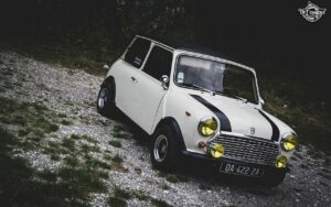 z DLEDMV 2022 - Mini 1100 Special -3