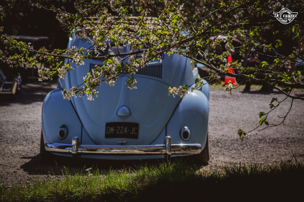 Spring Event #7 - Le retour du come back ! 9