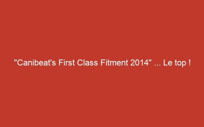 « Canibeat&rsquo;s First Class Fitment 2014 » … Le top !