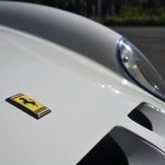 Assurance Véhicule Prestige - DLEDMV 2025 Ferrari 250 GTO Bianco Speciale 5